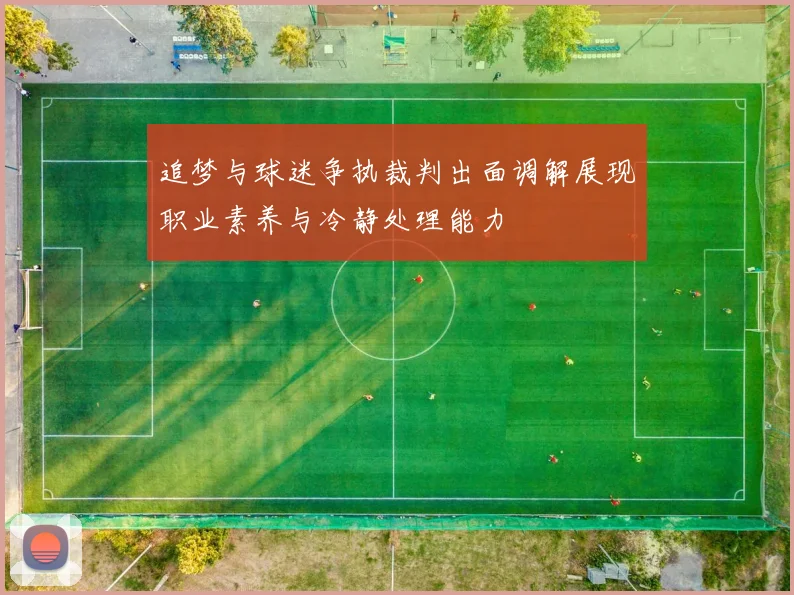 追梦与球迷争执裁判出面调解展现职业素养与冷静处理能力