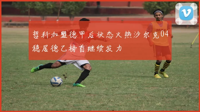 哲科加盟德甲后状态火热沙尔克04稳居德乙榜首继续发力